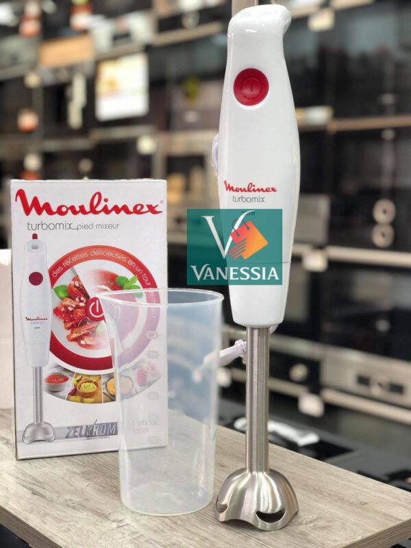 Bras mixeur marque Moulinex
