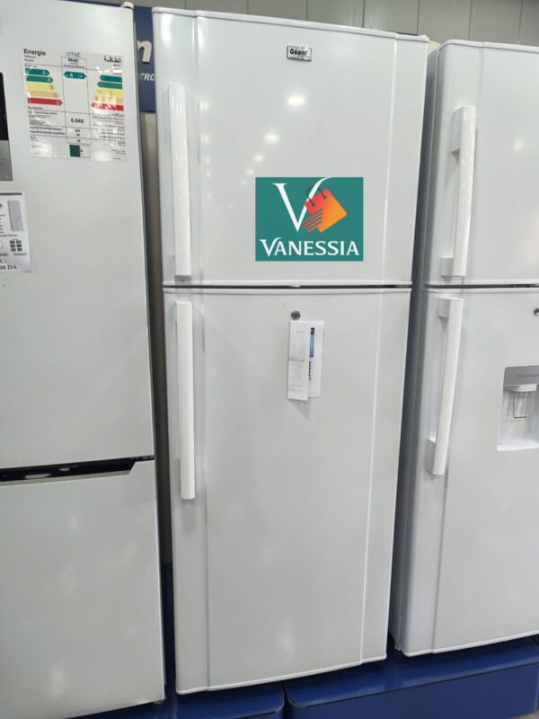 Réfrigérateur marque géant 525L couleur blanche